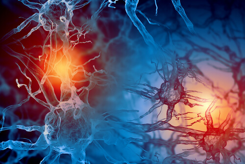 How does Neuron Dysfunction Affect Parkinson's Patients?